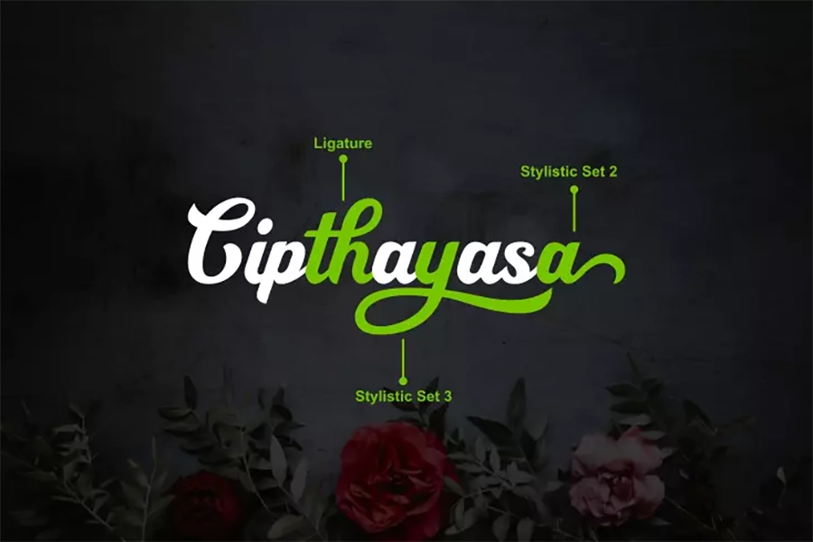 Cipthayasa 02
