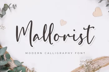 Mallorist - Modern Calligraphy Font