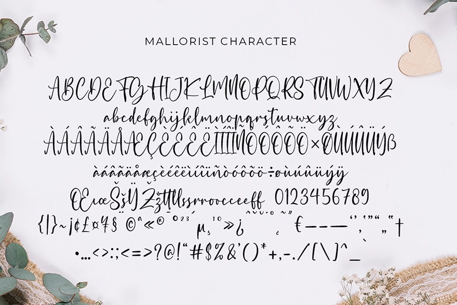Mallorist - Modern Calligraphy Font - Image 3