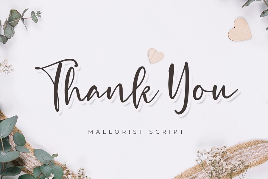 Mallorist - Modern Calligraphy Font - Image 11