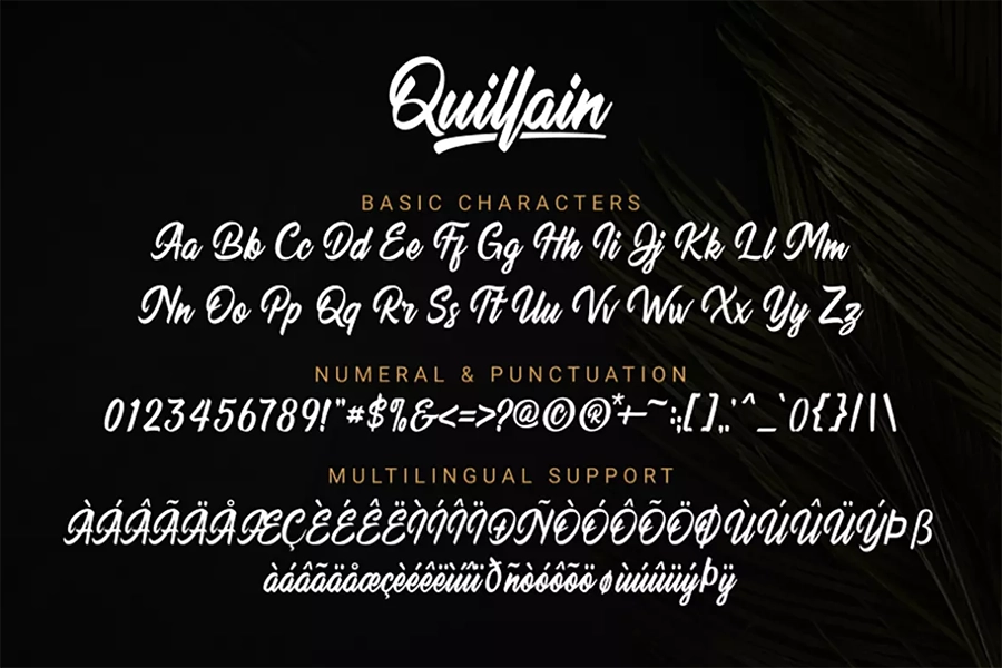 Quillain 002